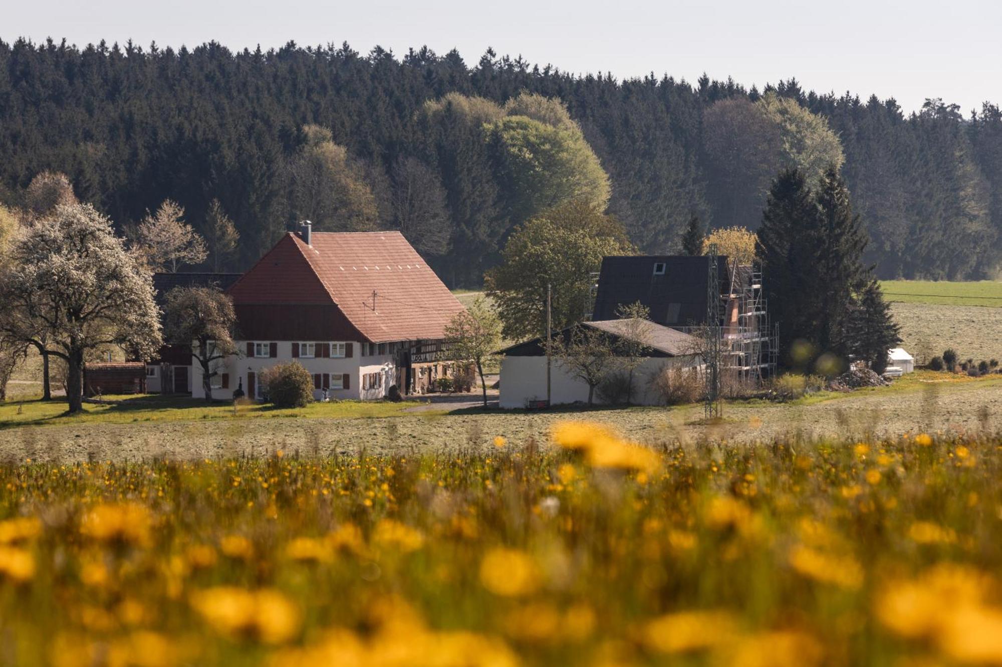 Ferienhof Greuthof Bad Wurzach Exterior foto